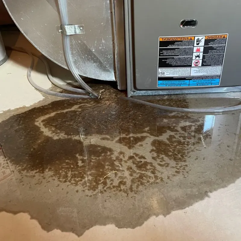 Pipe Burst and Leak Restoration in North Tustin, CA