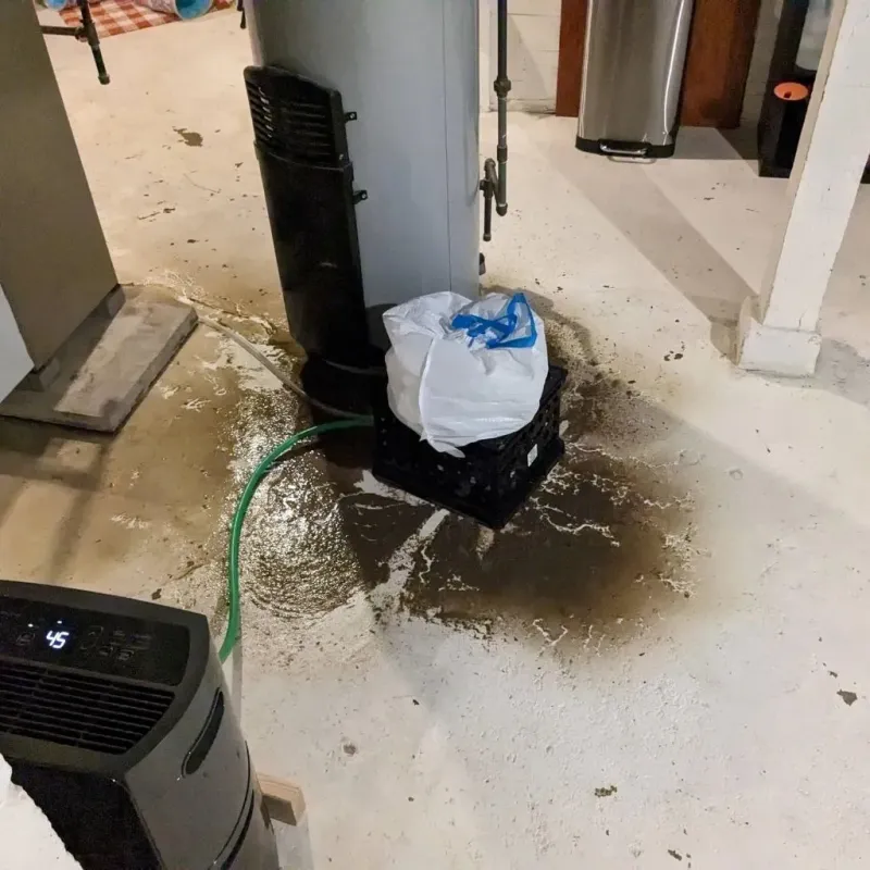 Sewage Backup Cleanup Service in North Tustin, CA